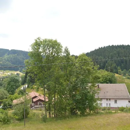 Chalet Du Tremplin Gérardmer